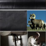 FullSizeRender_0c7532eb-4f36-45f9-9b19-1e3e2626f243